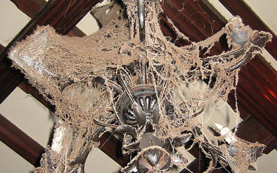 Spring Cleaning your Lampshades