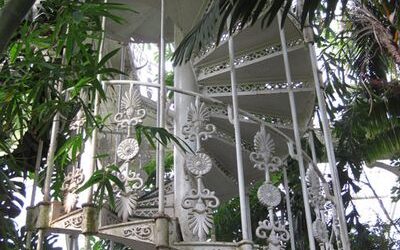 A trip to Kew Gardens